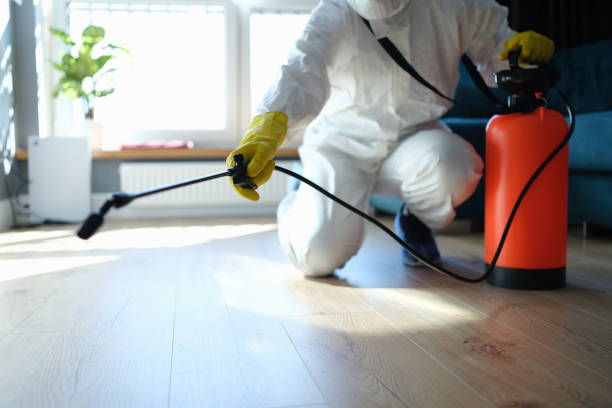 Best Flea Control Services  in Lynchburg, MS