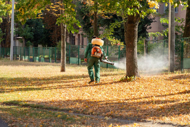 Best Pest Removal Services  in Lynchburg, MS